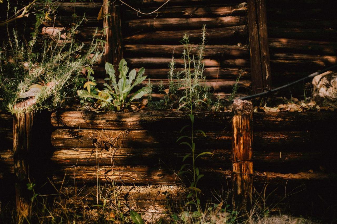 B&B La Voce Del Fiume Dimora Storica Di Charme Brienza Exterior foto
